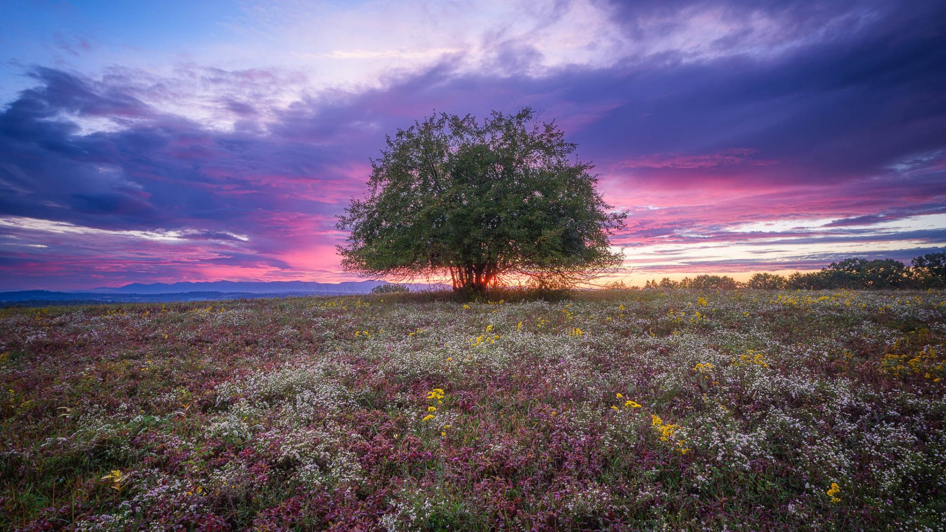 ArtOmiPavilionsWebSize-12