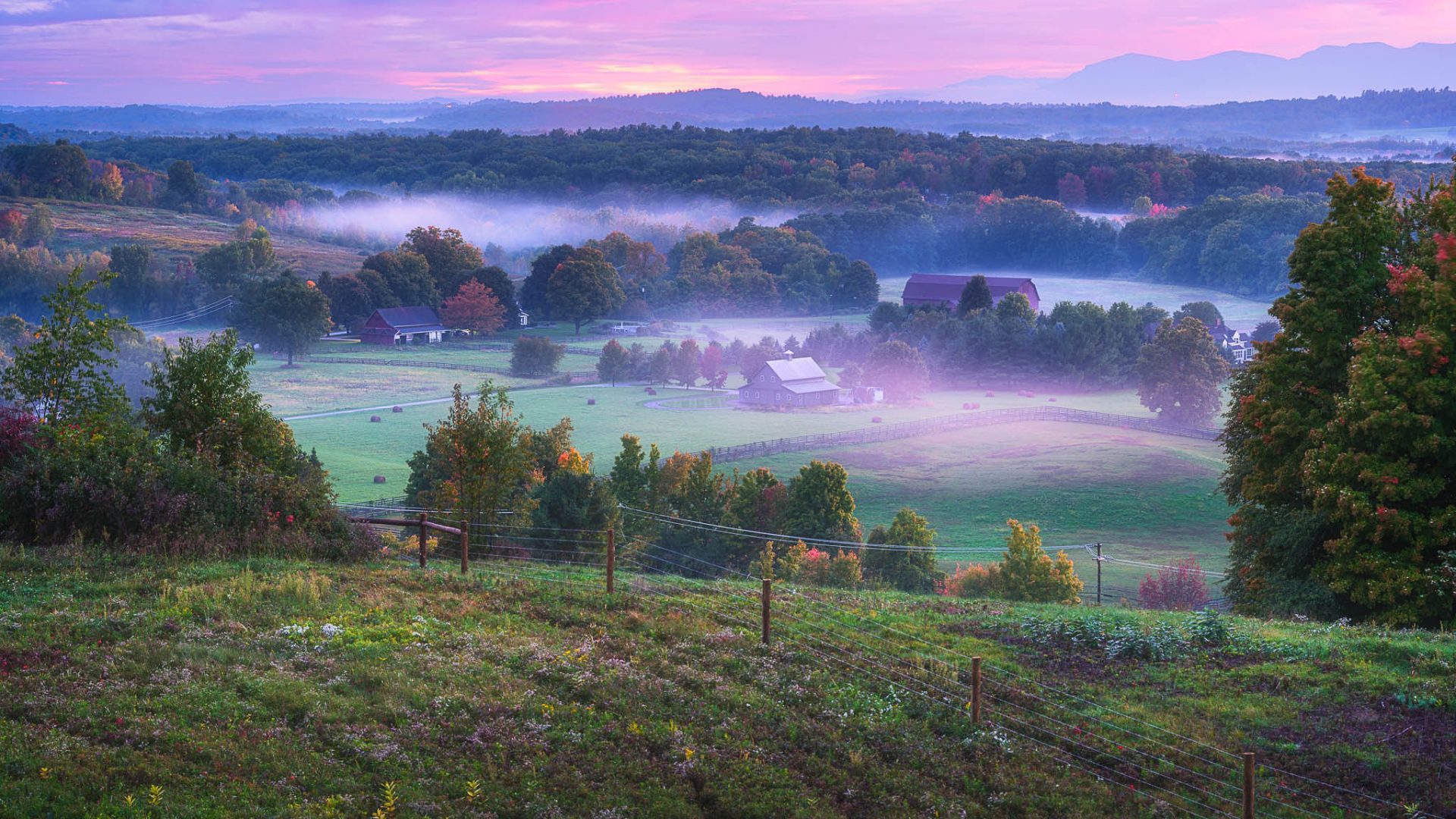 ArtOmiPavilionsWebSize-15