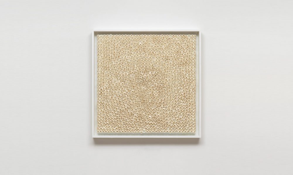 Rakuko-Naito_RN936-35-19_0046.Photo